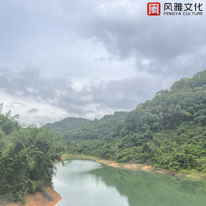 苍井空操逼视频
